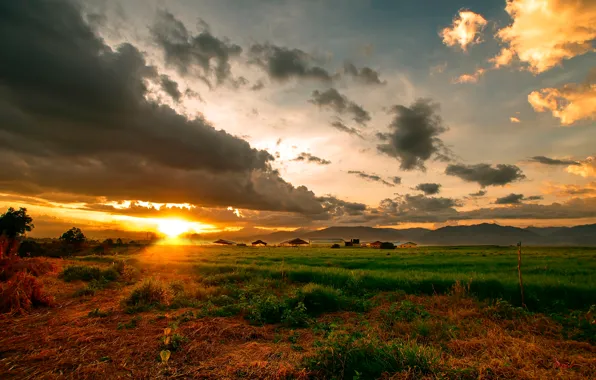 Field, the sky, clouds, sunset, mountains