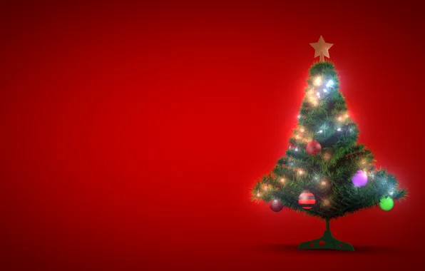 Trees, new year, pine, New Year