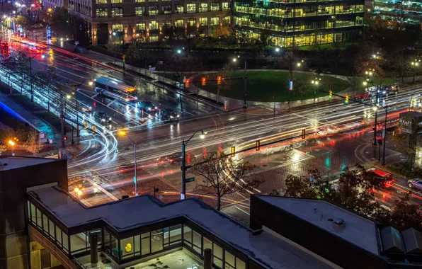 Road, trees, lights, movement, home, the evening, lights, crossroads