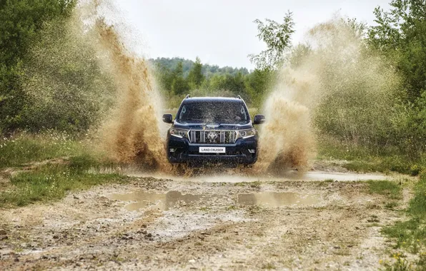 Grass, water, squirt, puddle, dirt, SUV, Toyota, 4x4
