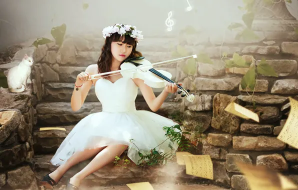 Picture cat, girl, music, violin