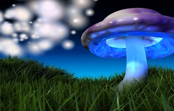 Green grass, Picture, colorful mushroom