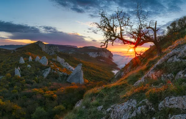 Sunset, nature, Crimea, Konstantin Voronov, Temple of the Sun