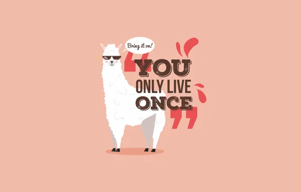 Letters, figure, graphics, glasses, font, words, the phrase, Lama