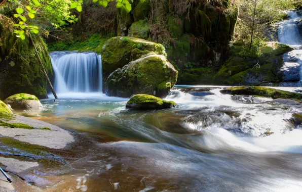 Nature, Stream, River, Forest, Stones