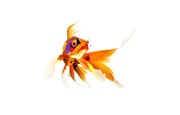 Abstraction, minimalism, fish
