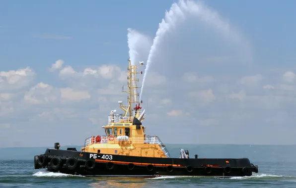 Exercises, Auxiliary Fleet, raid tugboat