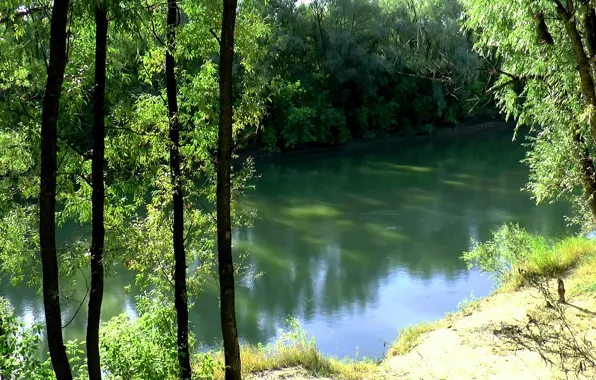 Summer, background, Wallpaper, shore, River, Siberia