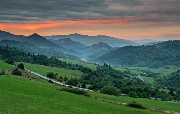 Forest, mountains, dawn, Europe, Slovakia, Slovakia