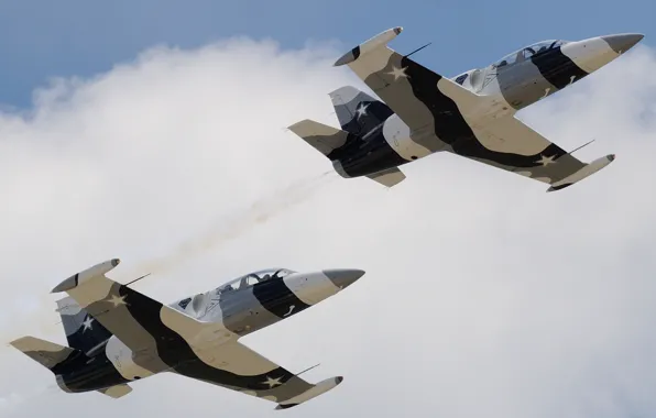 Flight, the plane, "Albatross", Albatros, combat training, Aero L-39