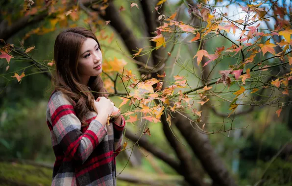Leaves, girl, branches, Asian