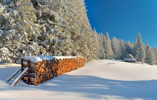 Picture winter, the sun, snow, day, Tatras, stack