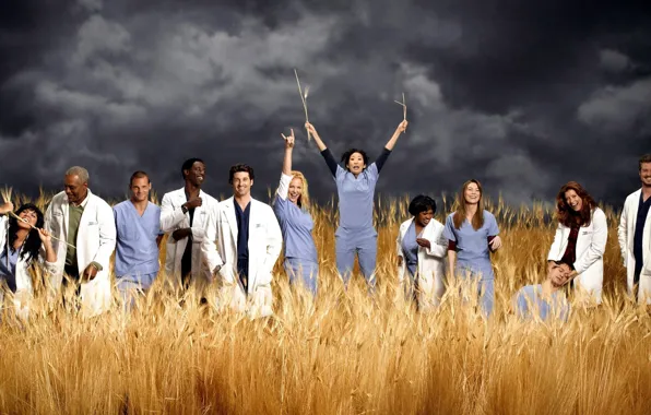 Picture joy, Katherine Heigl, actors, Grey's Anatomy, Grey's anatomy, Ellen Pompeo, Isaiah Washington, Sara Ramirez