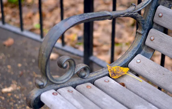 Autumn, sheet, bench