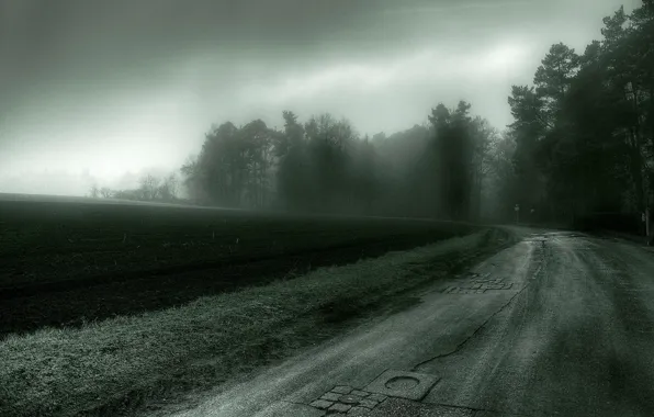 Road, field, trees, the darkness