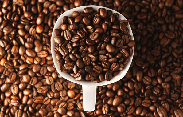 Picture a lot, mug, coffee, coffee beans, placer, full