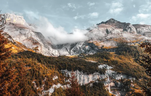 Forest, the sky, clouds, trees, mountains, stones, rocks, waterfall