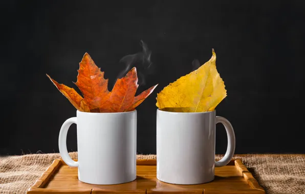 Picture autumn, leaves, mug, drink, stand
