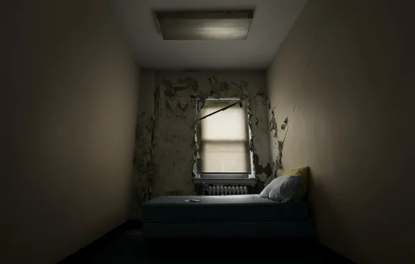 Window, bed, chamber