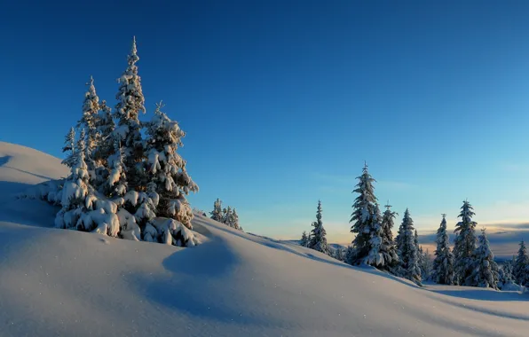 Picture winter, the sky, snow, trees, sunset, hills, spruce, horizon
