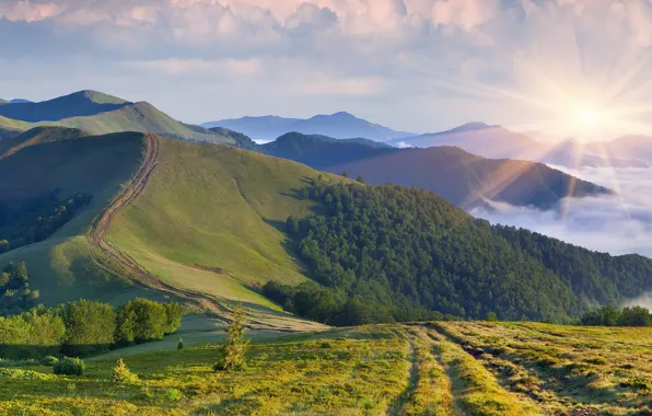 ROAD, FOREST, HILLS, GRASS, MOUNTAINS, The SKY, The SUN, CLOUDS