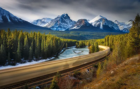 Forest, train, excerpt, Canada, Albert