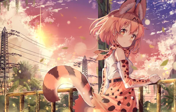 Girl, Ears, Tail, Kemono Friends, Long-eared friends