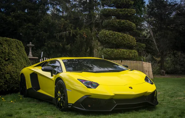 Picture 50th, lp700-4, lamborghini, anniversary, aventador