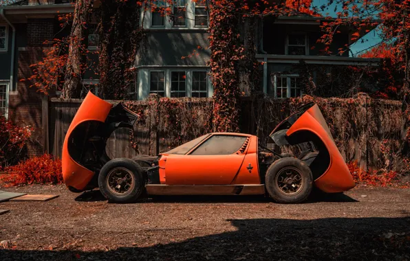 Color, Auto, Lamborghini, Dust, Machine, Orange, 1971, Car