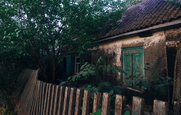 Summer, tree, the fence, the evening, Russia, architecture, abandoned house, July