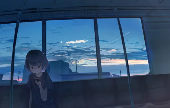 Picture the evening, girl, window, tears