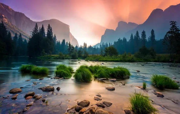 Grass, water, trees, mountains, Park, river, stones, dawn