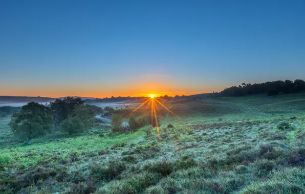 Field, summer, the sky, trees, sunset, fog, blue, meadow