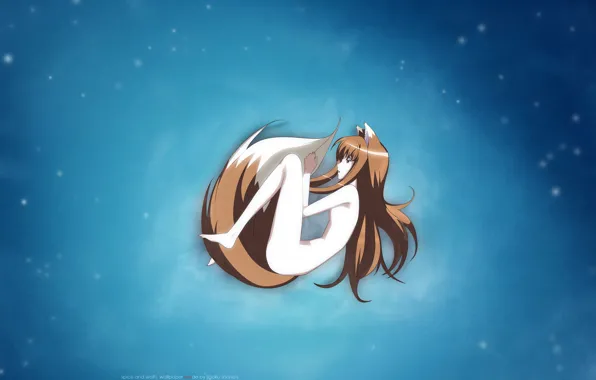 Spice and wolf, wolf girl, Holo, spice and wolf