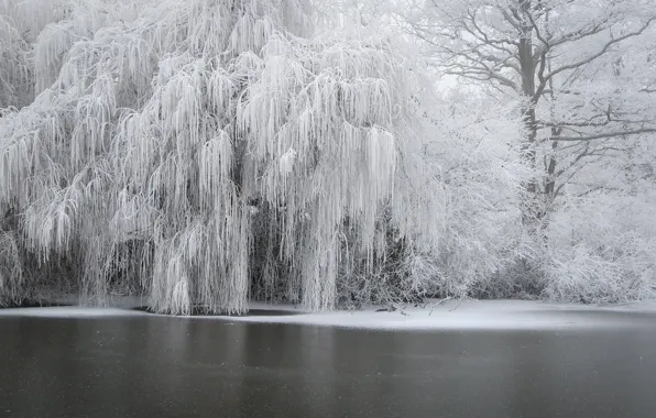 Picture winter, frost, river