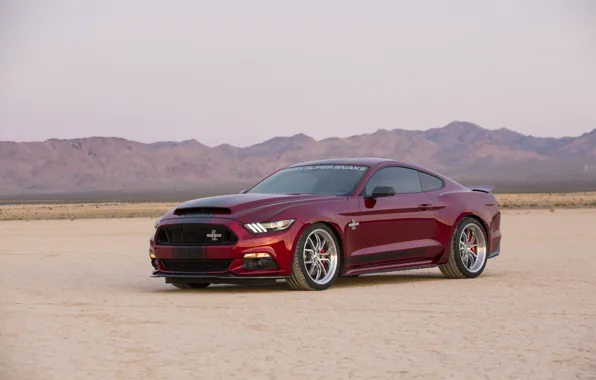 Picture Mustang, Ford, Shelby, Mustang, Ford, Shelby, Super Snake, 2015