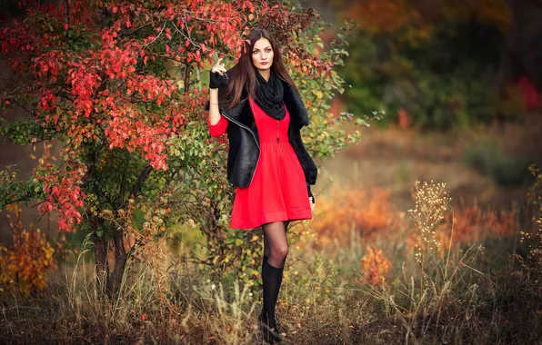 Picture autumn, in red, nature