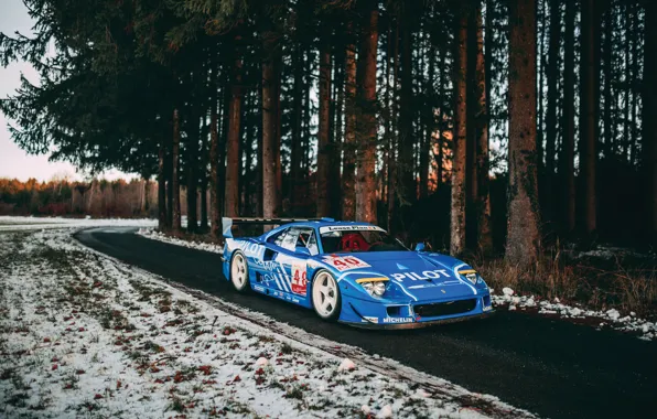 Picture Ferrari, F40, blue, Ferrari F40 LM by Michelotto
