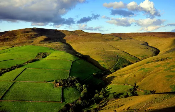 Field, peyzhash, of green hilis