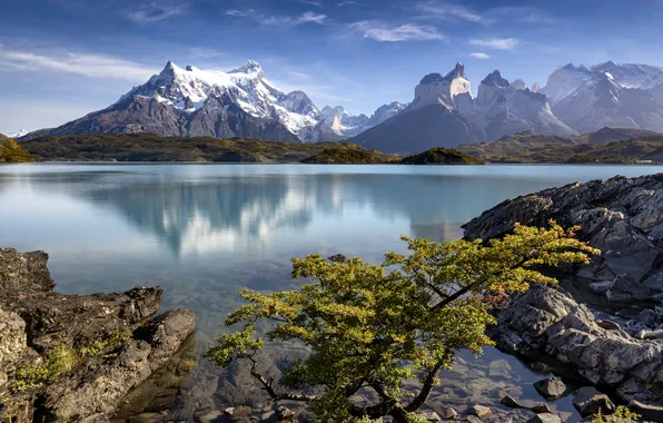 Mountains, lake, reflection, stones, tree, shore, Andes