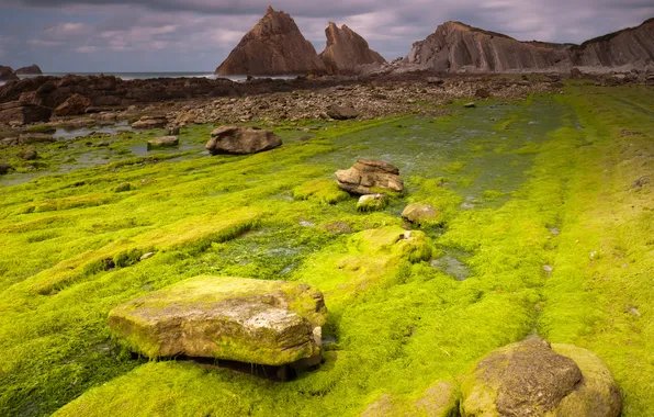 Sea, greens, field, clouds, algae, mountains, stones, rocks