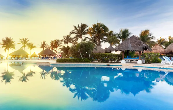 Picture palm trees, pool, resort, Mexico