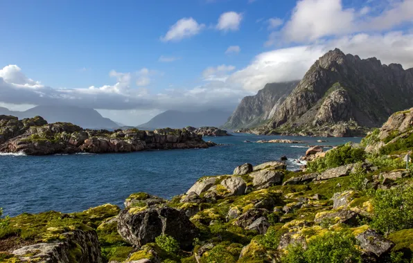 Sea, greens, the sky, the sun, clouds, mountains, fog, stones