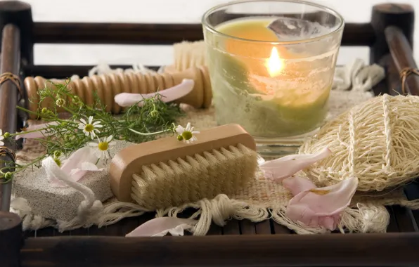 Picture candle, petals, Daisy, brush, Spa, petals, candle, brush