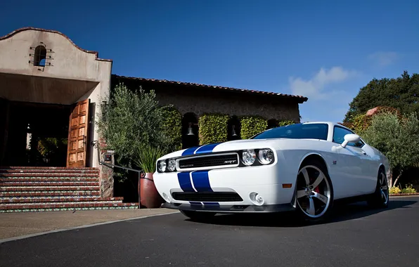 Dodge, SRT8, Challenger, Dodge, 2011, Challenger