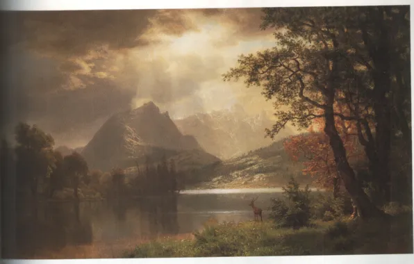 Colorado, BIERSTADT, ESTES PARK