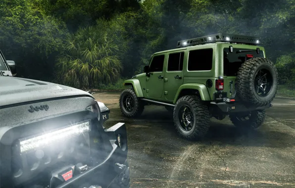 Picture Light, Jungle, Cars, Green, Black, Rain, Wrangler, Jeep