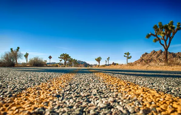 Picture road, horizon, Joshua Tree National Park