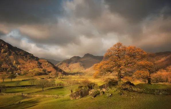 Picture autumn, trees, mountains, England, Cumbria