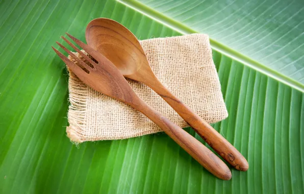 Green, background, leaf, minimalism, spoon, plug, wooden, burlap